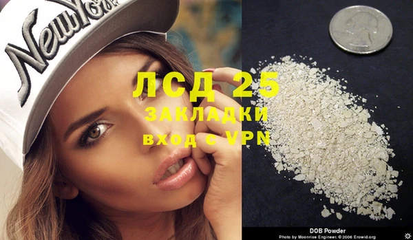 первитин Богданович