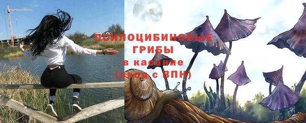 первитин Богданович