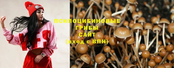 первитин Богданович